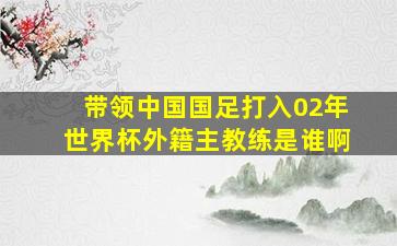 带领中国国足打入02年世界杯外籍主教练是谁啊