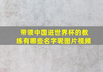 带领中国进世界杯的教练有哪些名字呢图片视频