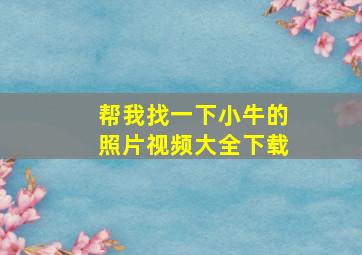 帮我找一下小牛的照片视频大全下载