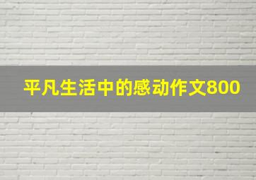 平凡生活中的感动作文800