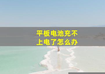 平板电池充不上电了怎么办