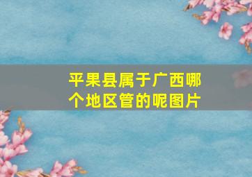 平果县属于广西哪个地区管的呢图片