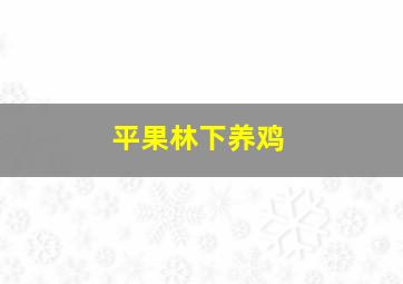 平果林下养鸡