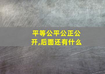 平等公平公正公开,后面还有什么