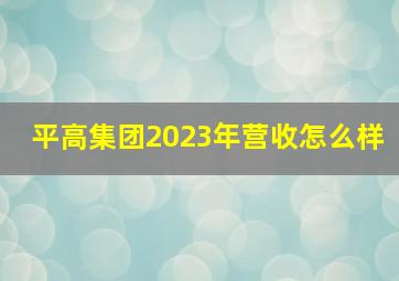 平高集团2023年营收怎么样