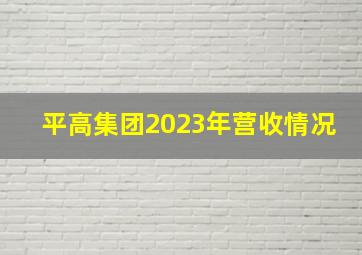 平高集团2023年营收情况