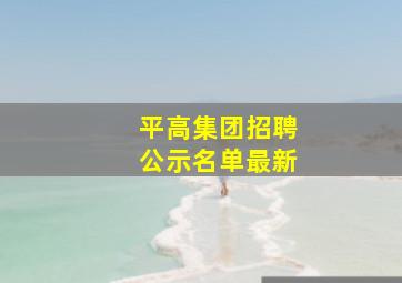 平高集团招聘公示名单最新