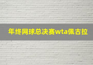 年终网球总决赛wta佩古拉