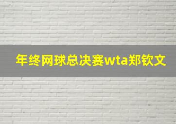 年终网球总决赛wta郑钦文