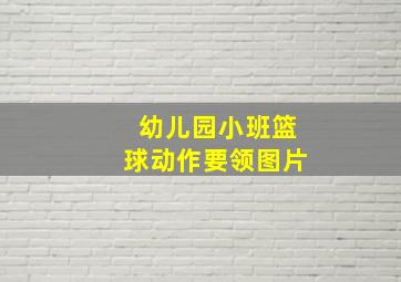 幼儿园小班篮球动作要领图片