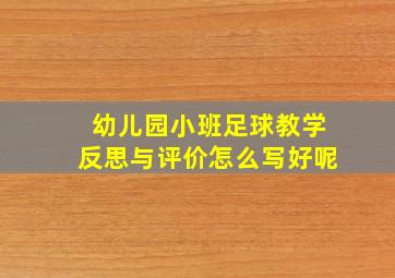 幼儿园小班足球教学反思与评价怎么写好呢