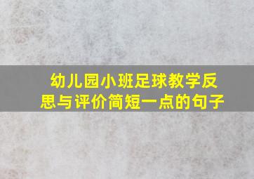 幼儿园小班足球教学反思与评价简短一点的句子