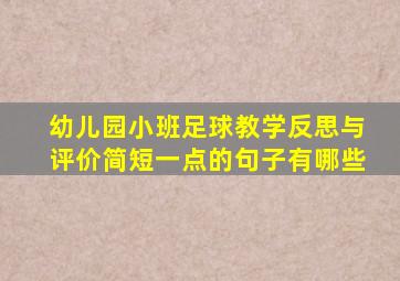 幼儿园小班足球教学反思与评价简短一点的句子有哪些