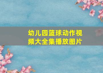 幼儿园篮球动作视频大全集播放图片