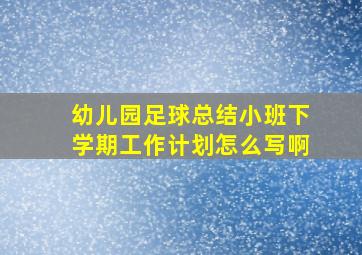 幼儿园足球总结小班下学期工作计划怎么写啊