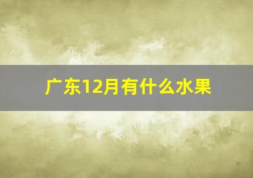 广东12月有什么水果