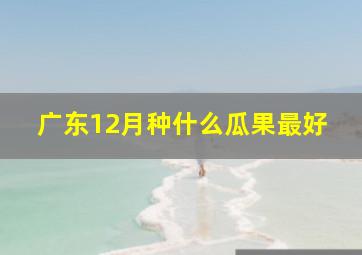 广东12月种什么瓜果最好