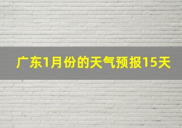 广东1月份的天气预报15天