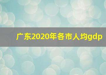 广东2020年各市人均gdp