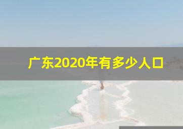 广东2020年有多少人口