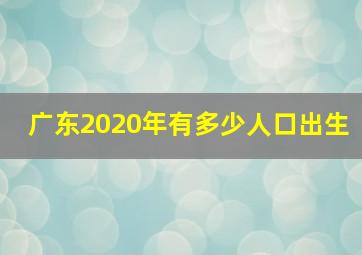 广东2020年有多少人口出生