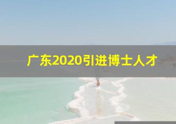 广东2020引进博士人才