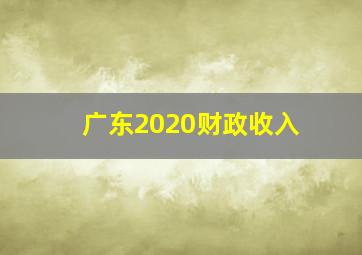 广东2020财政收入