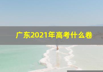 广东2021年高考什么卷