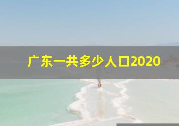 广东一共多少人口2020