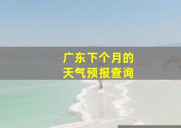 广东下个月的天气预报查询