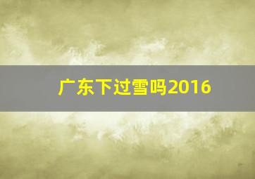 广东下过雪吗2016