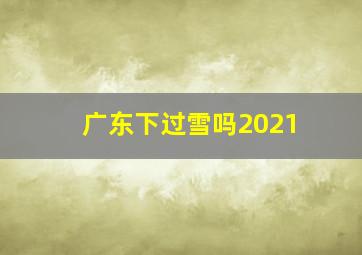 广东下过雪吗2021