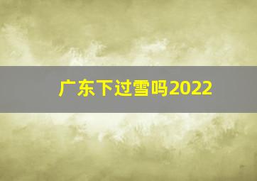 广东下过雪吗2022