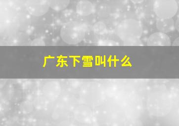 广东下雪叫什么