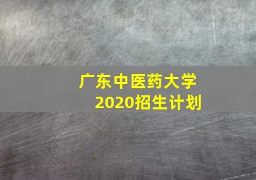 广东中医药大学2020招生计划