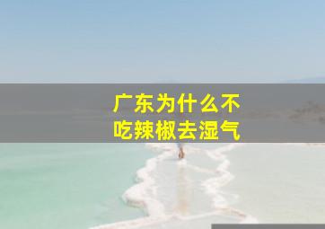 广东为什么不吃辣椒去湿气