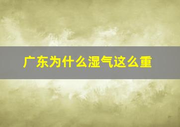 广东为什么湿气这么重