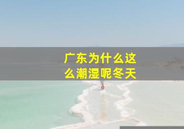 广东为什么这么潮湿呢冬天