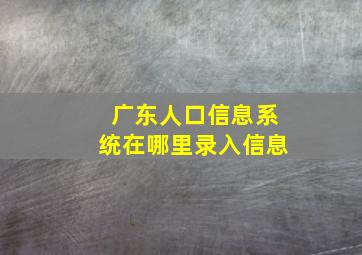 广东人口信息系统在哪里录入信息