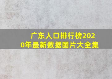 广东人口排行榜2020年最新数据图片大全集