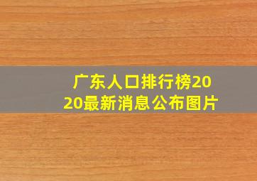 广东人口排行榜2020最新消息公布图片