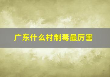 广东什么村制毒最厉害