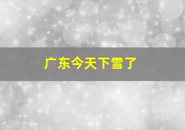 广东今天下雪了