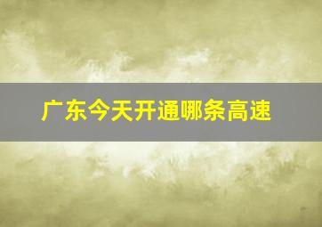 广东今天开通哪条高速