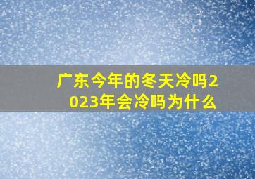 广东今年的冬天冷吗2023年会冷吗为什么