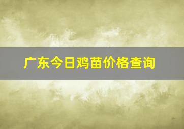 广东今日鸡苗价格查询