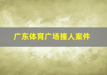 广东体育广场撞人案件