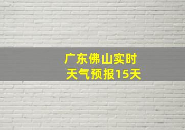 广东佛山实时天气预报15天