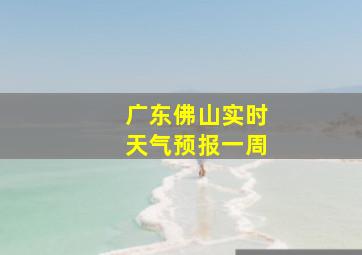 广东佛山实时天气预报一周