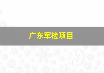 广东军检项目